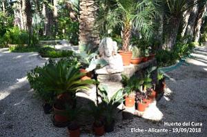 19 ELCHE HUERTO DEL CURA (19)